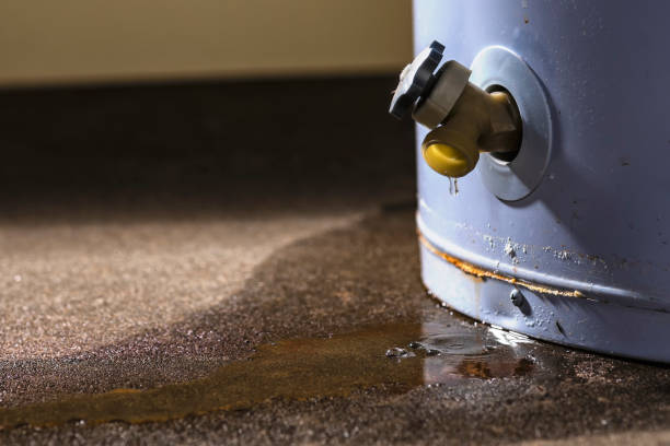 Best Local water damage restoration  in South Waverly, PA