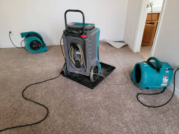 Best Sewage cleanup and water damage restoration  in South Waverly, PA
