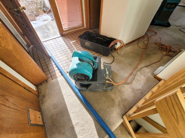 Best Water damage contractors near me  in South Waverly, PA