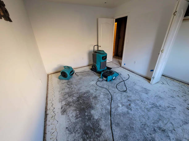 Best Commercial water damage restoration  in South Waverly, PA