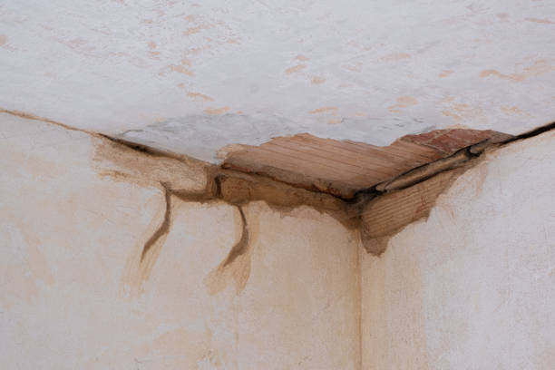Best Professional water damage repair  in South Waverly, PA