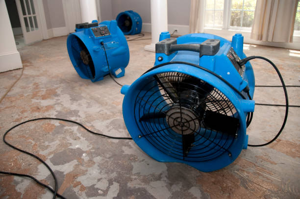 Best Commercial water damage restoration  in South Waverly, PA