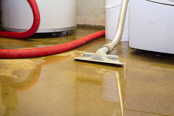 Best Water damage cleanup near me  in South Waverly, PA