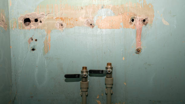 Best Residential water damage restoration  in South Waverly, PA