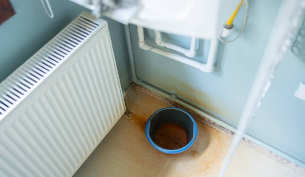 Best Water damage repair service  in South Waverly, PA
