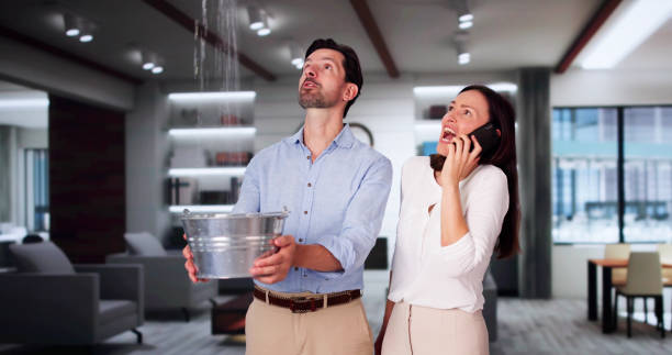 Best Water damage restoration near me  in South Waverly, PA